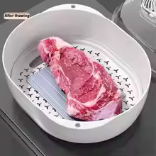 Meat Defroasting Machine